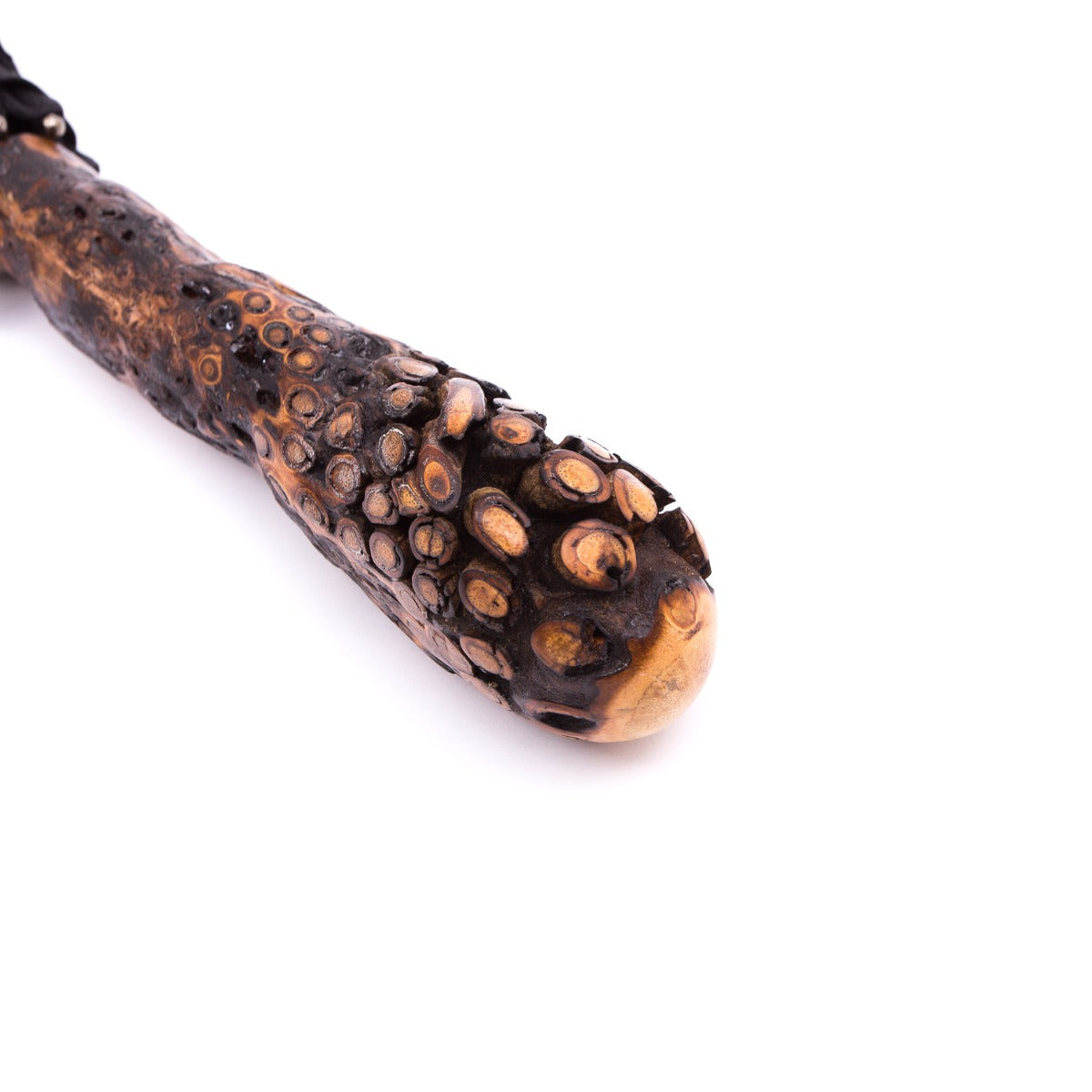 An Manila Root Solid Stick w/ Imperial Black Canopy shaped wand with a white background sold by KirbyAllison.com.